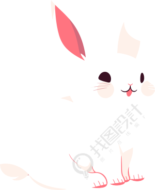 小白兔卡通PNG插图