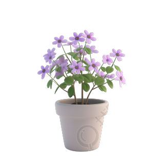 3D花卉高清图形元素