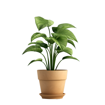 3D植物可爱简约插图