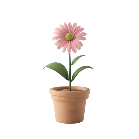 3D花卉商业插画设计
