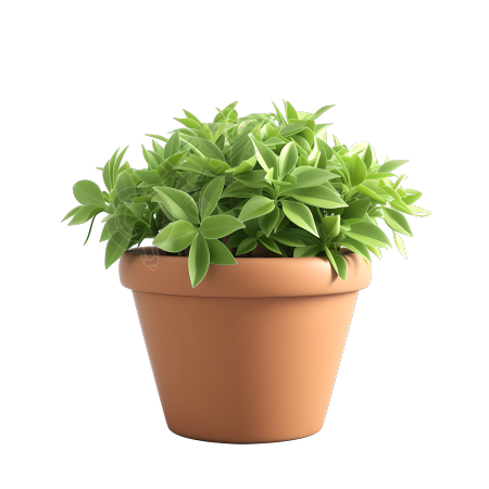 3D植物图形素材