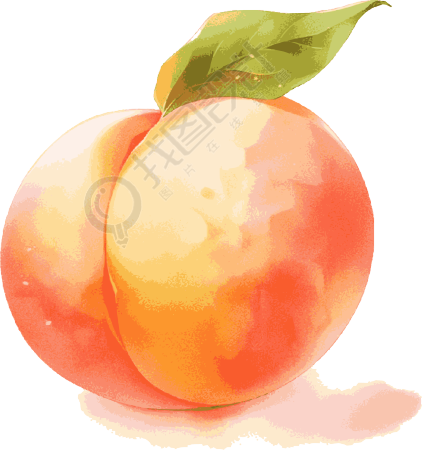 桃子卡通插画设计素材