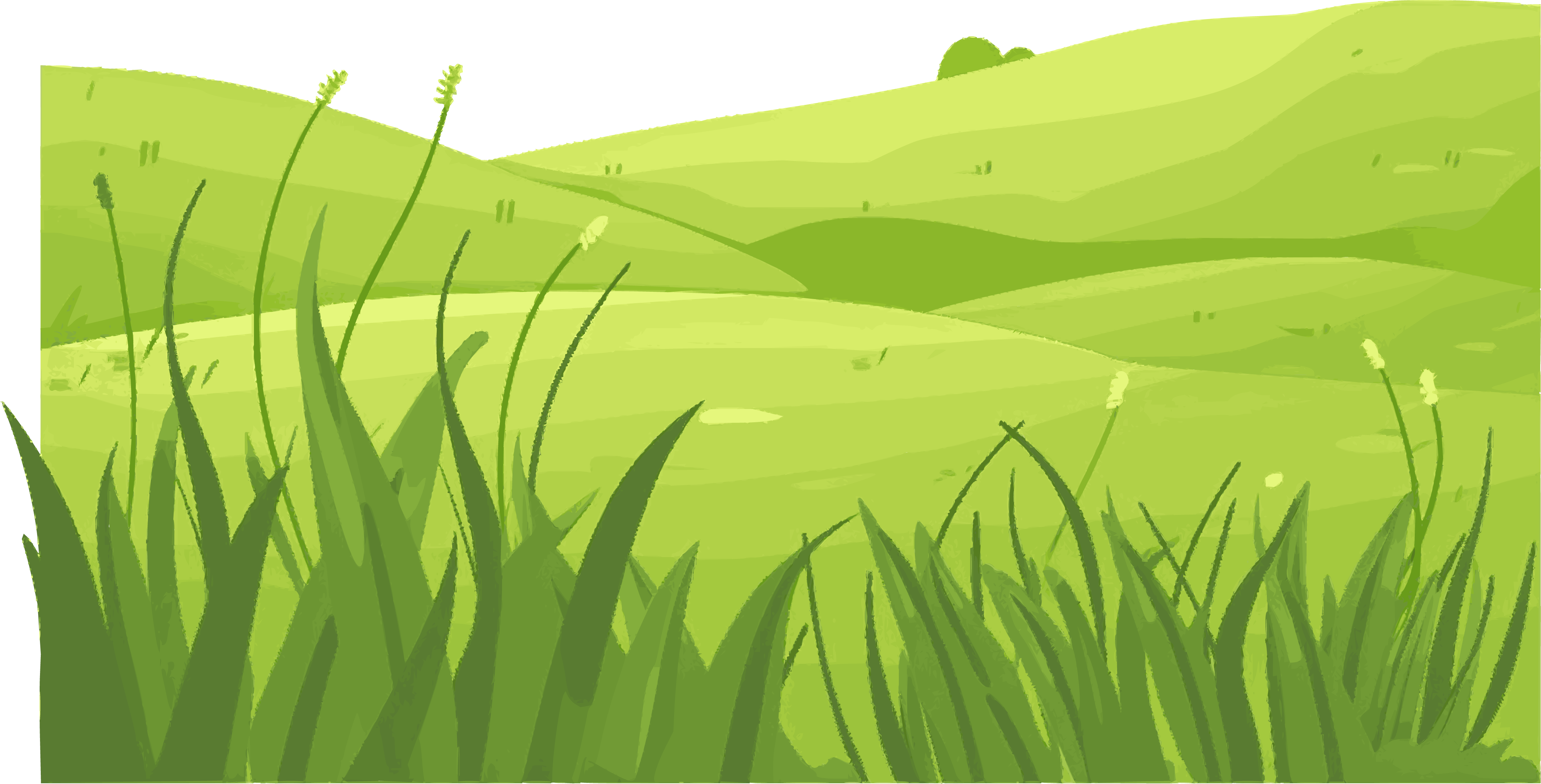 草地简约平面插画