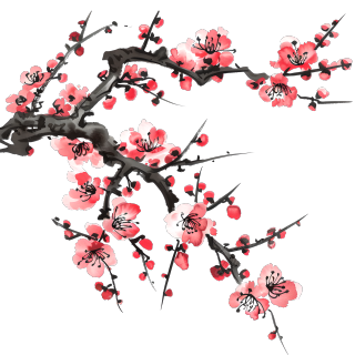 中国风梅花插画