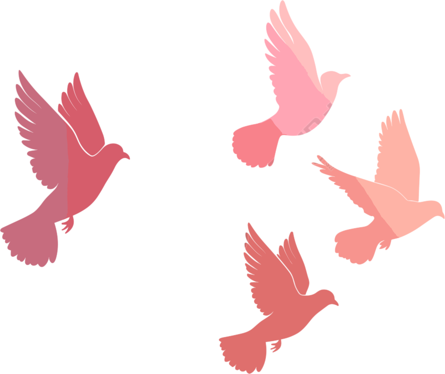 红色和平鸽插图