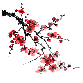 中国风梅花商用素材