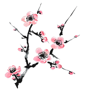 中国风梅花商用插画