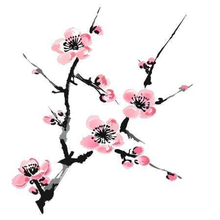 中国风梅花商用插画