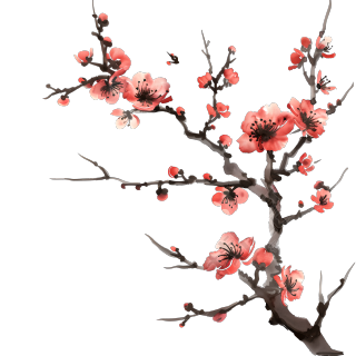 中国风梅花插画素材