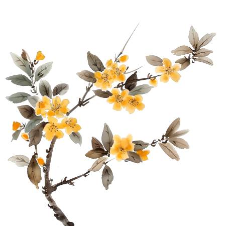国风桂花插画