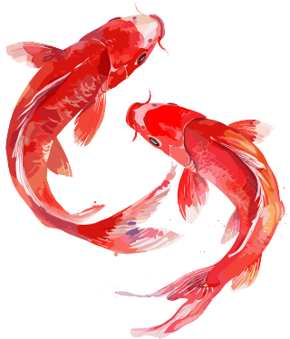 红色锦鲤中式插画