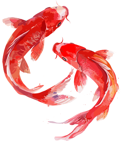 红色锦鲤中式插画