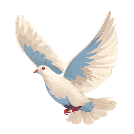 白鸽插画设计元素