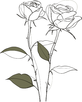 抽象植物线条插画