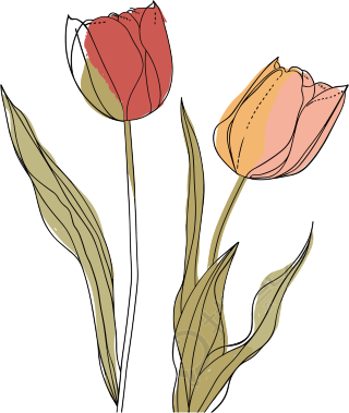 抽象植物插画设计