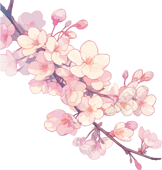 粉色樱花商用素材