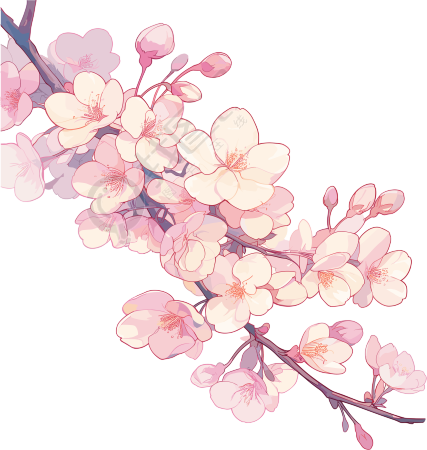 粉色樱花商用素材