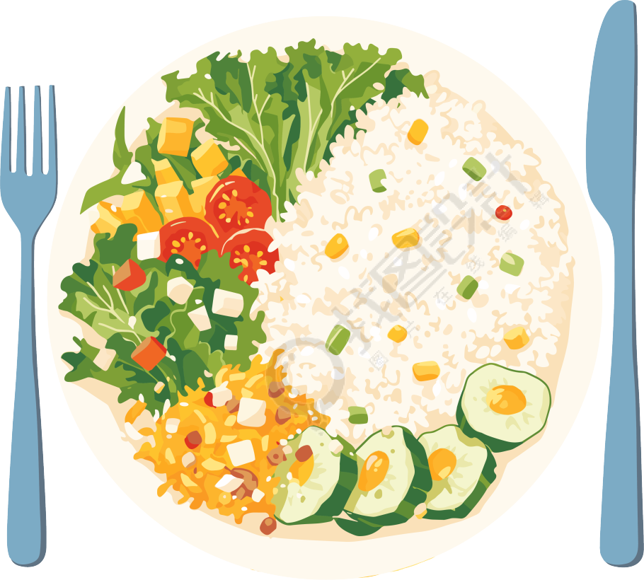 营养餐蛋炒饭插画