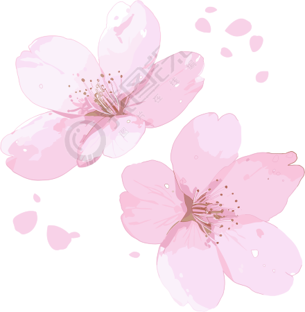 樱花花瓣图案素材