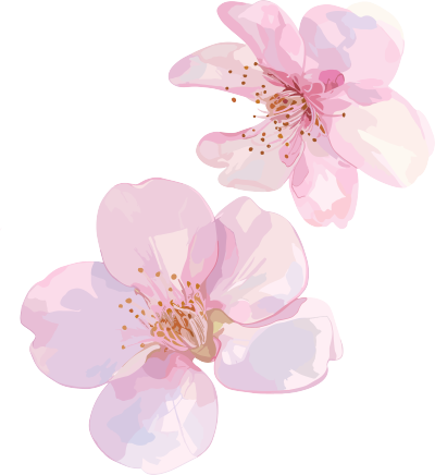 樱花花瓣3D素材