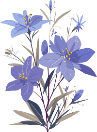 简约花卉商业用途插画