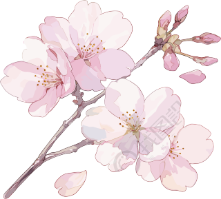 樱花花瓣可商用插画