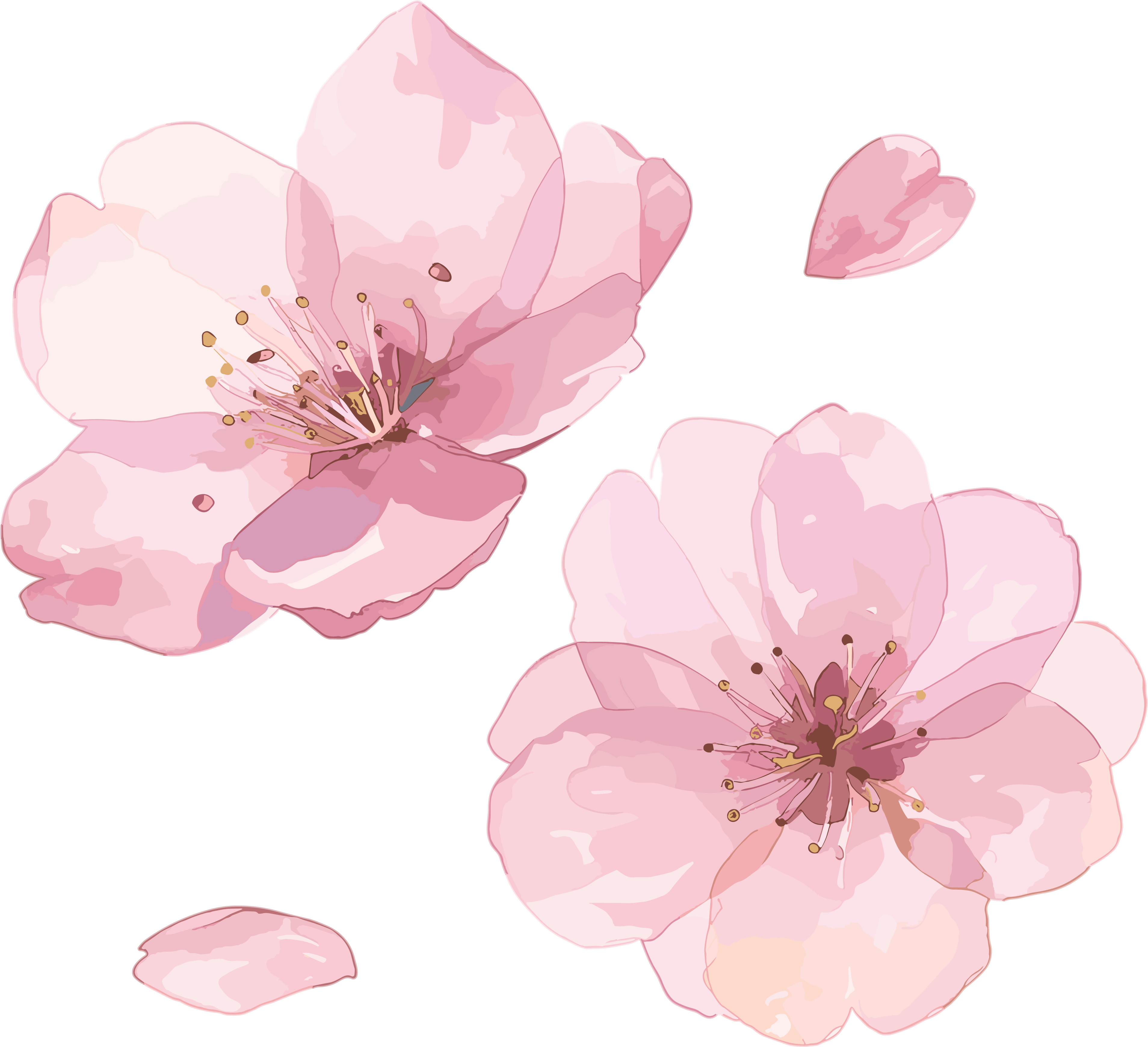 樱花花瓣创意PNG素材
