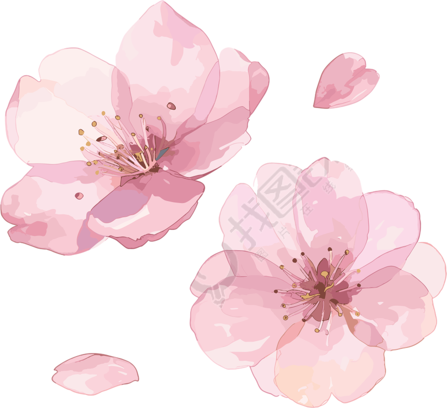 樱花花瓣创意PNG素材