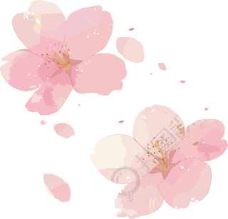 樱花花瓣透明背景元素