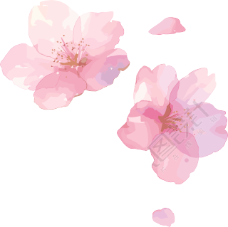 樱花花瓣PNG素材