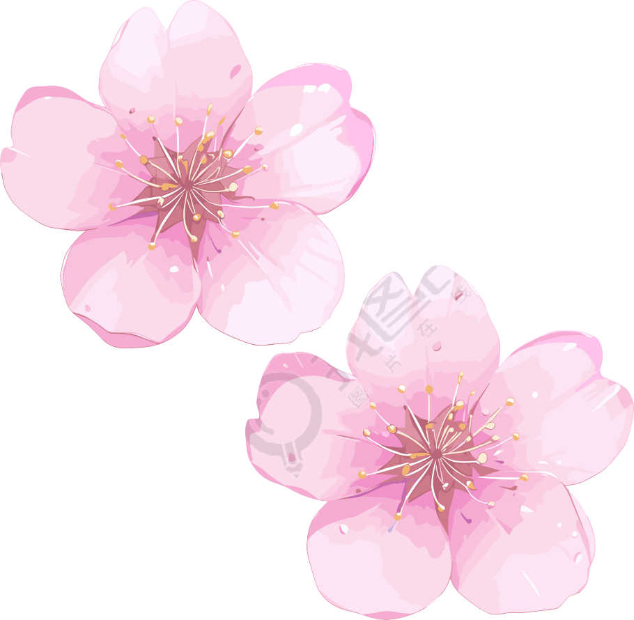 樱花花瓣3D可商用素材