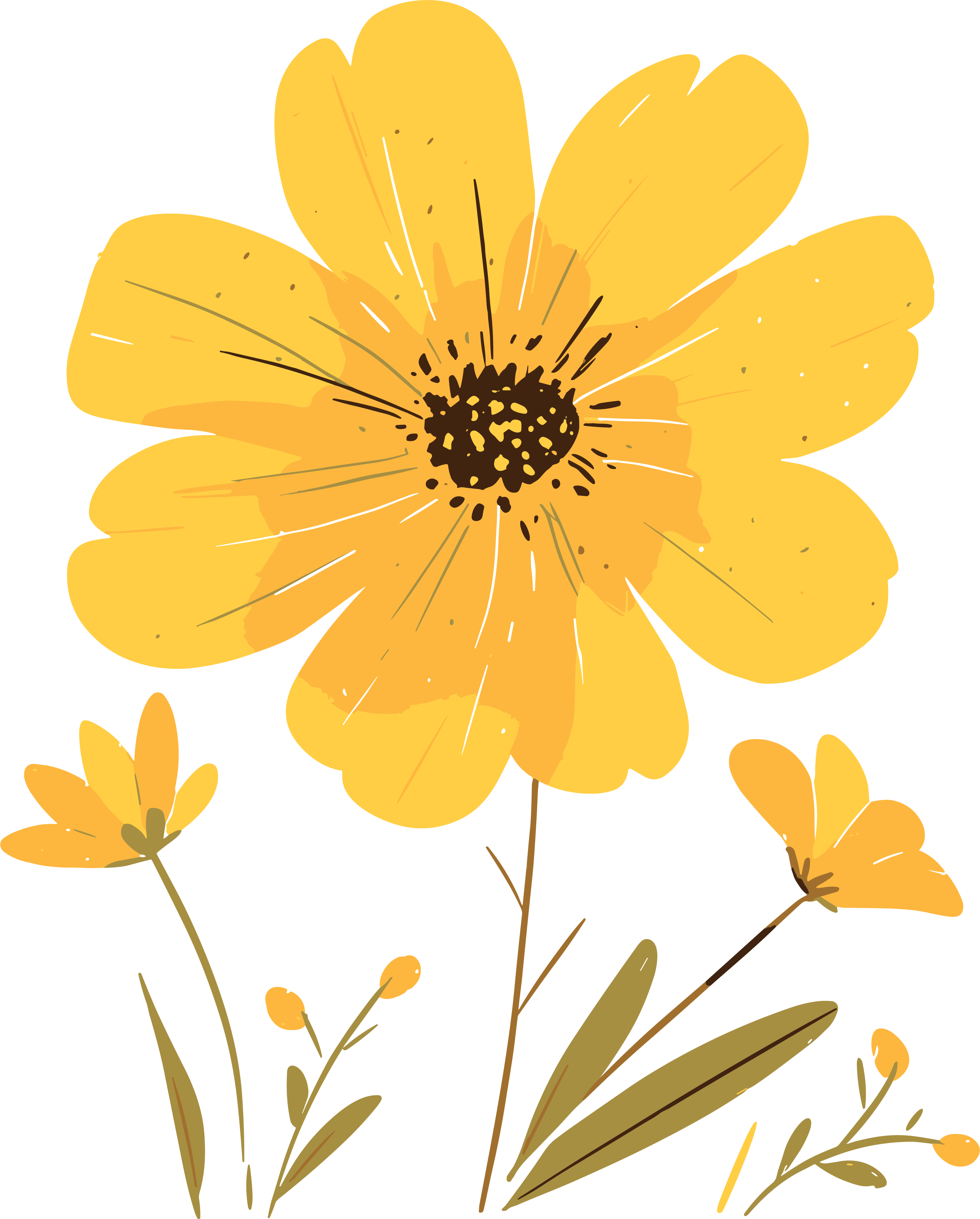 简约花卉插画素材