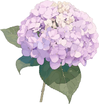 绣球花插画设计素材
