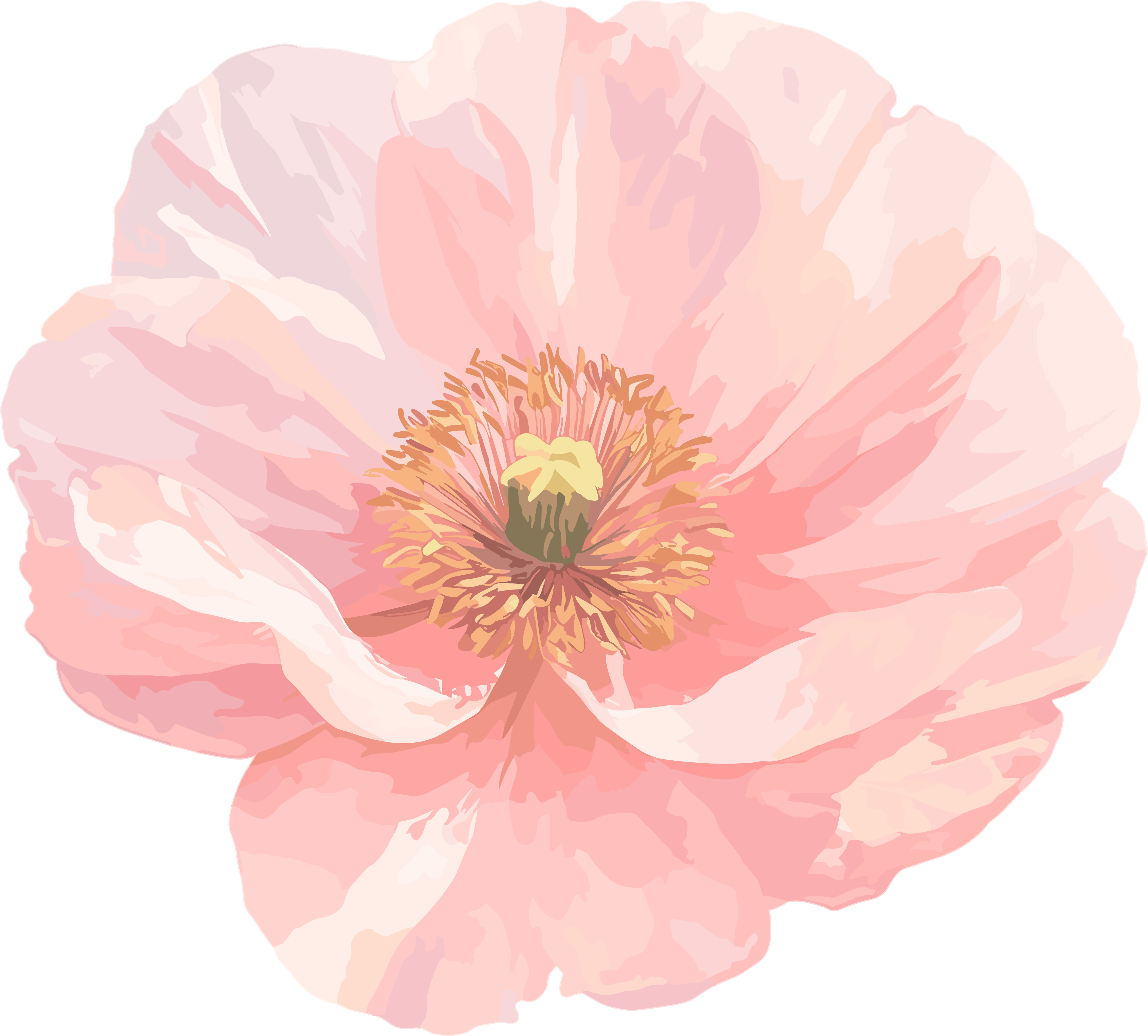 简约花卉唯美插画