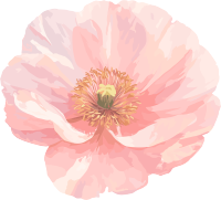 简约花卉唯美插画