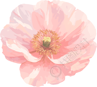 简约花卉唯美插画