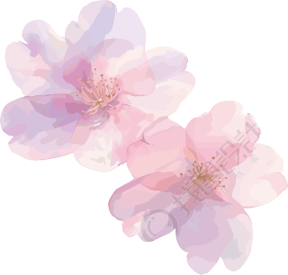 樱花花瓣水墨插图