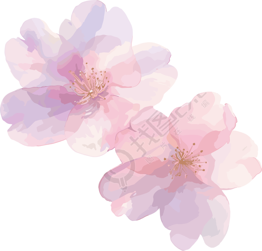 樱花花瓣水墨插图