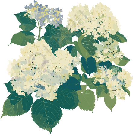 简约花卉平面插画