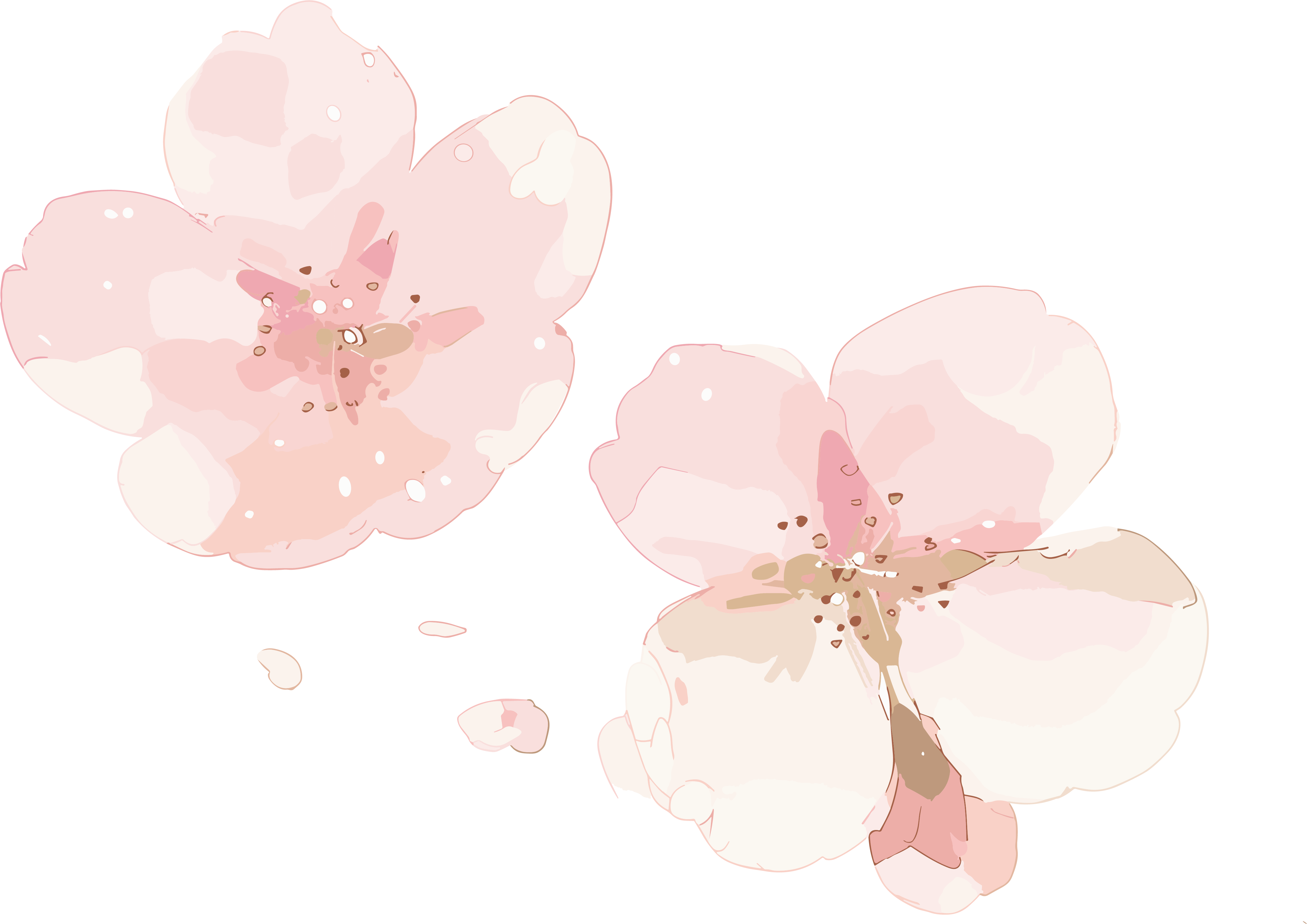 樱花花瓣渐变粉素材