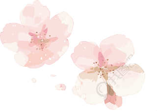 樱花花瓣渐变粉素材