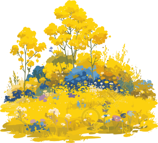 油菜花透明背景素材