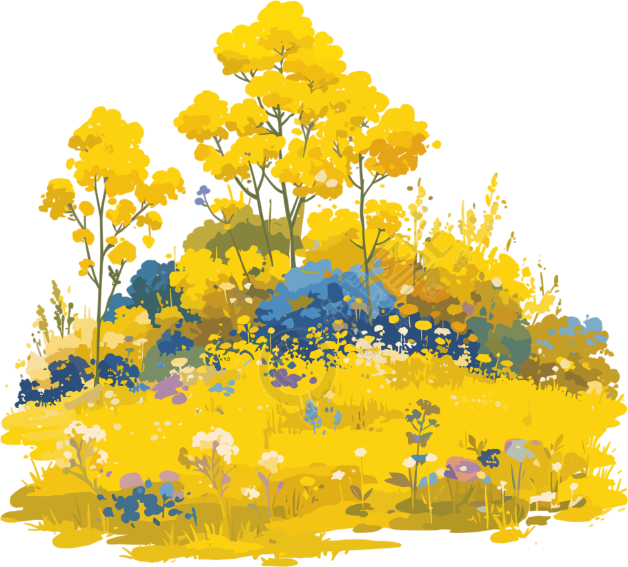 油菜花透明背景素材