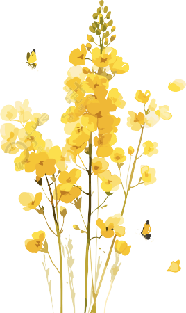 油菜花PNG图形素材