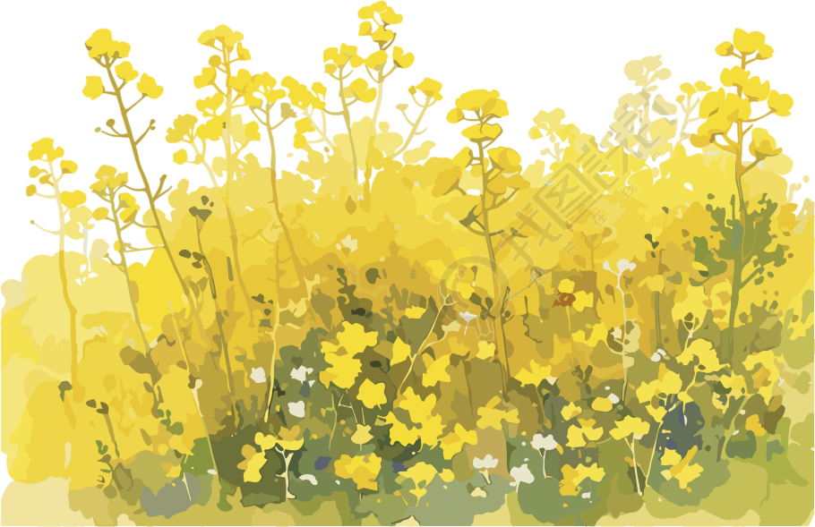 油菜花田简洁设计元素
