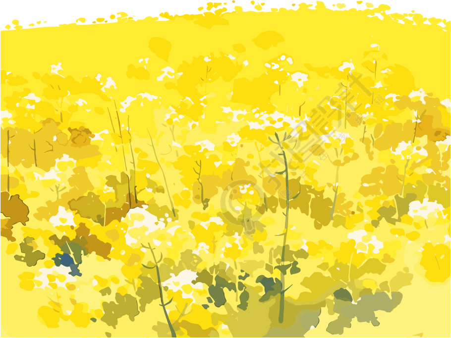 油菜花田PNG插图