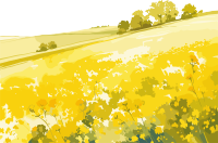 油菜花田创意设计图形素材