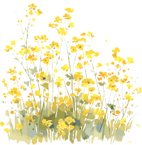 油菜花透明背景商用素材