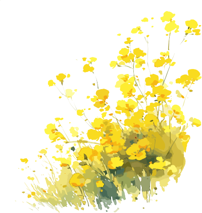 油菜花简单图案素材
