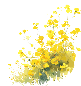 油菜花简单图案素材